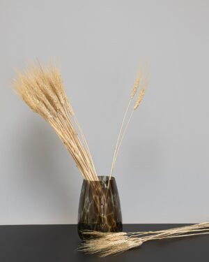 Triticum Hvede - Tørrede blomster 21 Triticum Vete