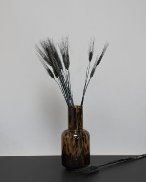 Triticum Hvede - Tørrede blomster 18 Triticum Vete