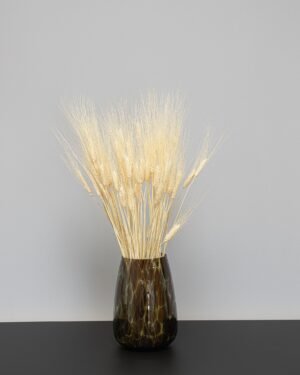 Triticum Hvede - Tørrede blomster 13 Triticum Vete