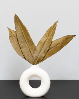 Tropiske blade - konserverede planter 10 Tropiska Blad