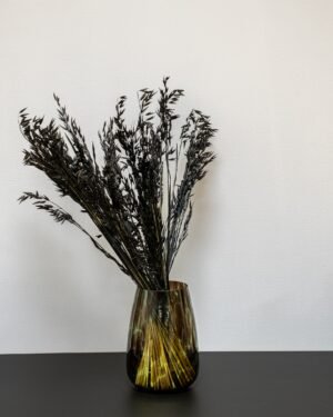 Havre Avena - Tørrede blomster 9 Forever Flora Dk