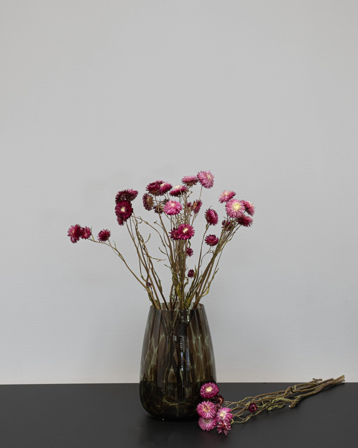 Helichrysum Naturell - Tørrede blomster - Image 9