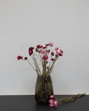 Forever Flora Dk