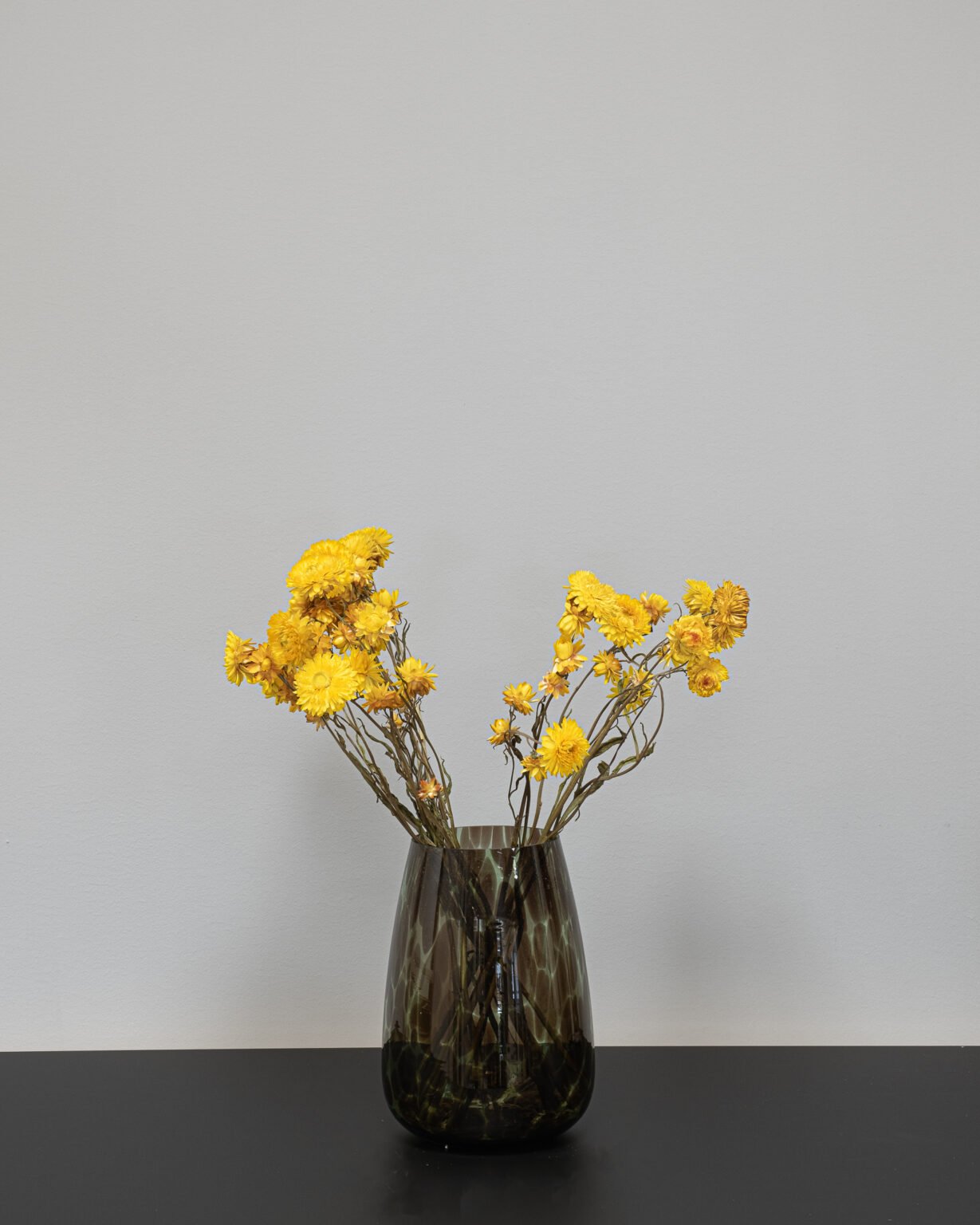 Helichrysum Naturell - Tørrede blomster - Image 15