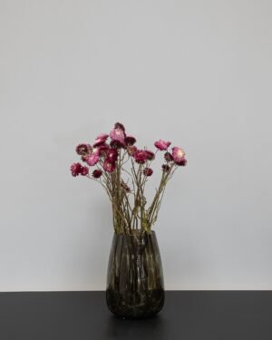 Forever Flora Dk