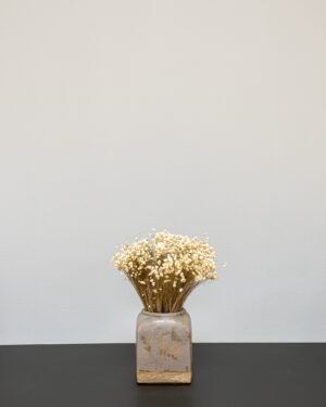 Marcela Naturell - Tørrede blomster