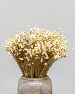 Alternative view of Marcela Naturell - Tørrede blomster