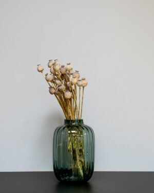 Forever Flora Dk