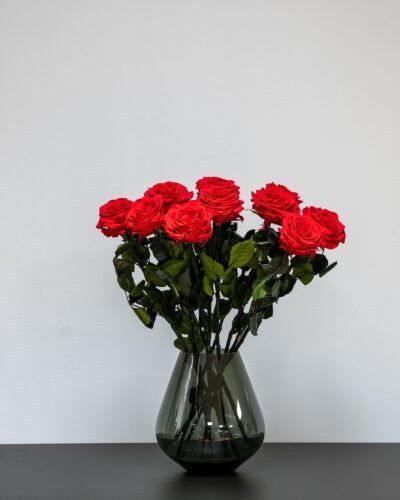 Alternative view of Eksklusiv Rød Evighedsrose Buket – Ægte Roser der holder i årevis (60 cm)