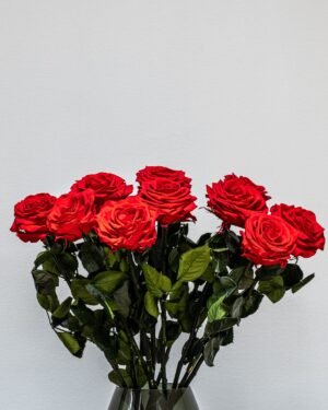 Forever Flora Dk