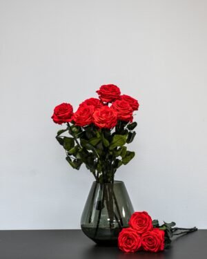 Forever Flora Dk