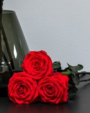 Forever Flora Dk