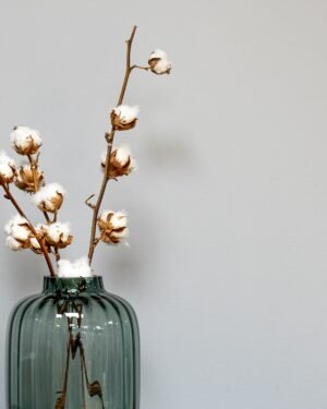Forever Flora Dk