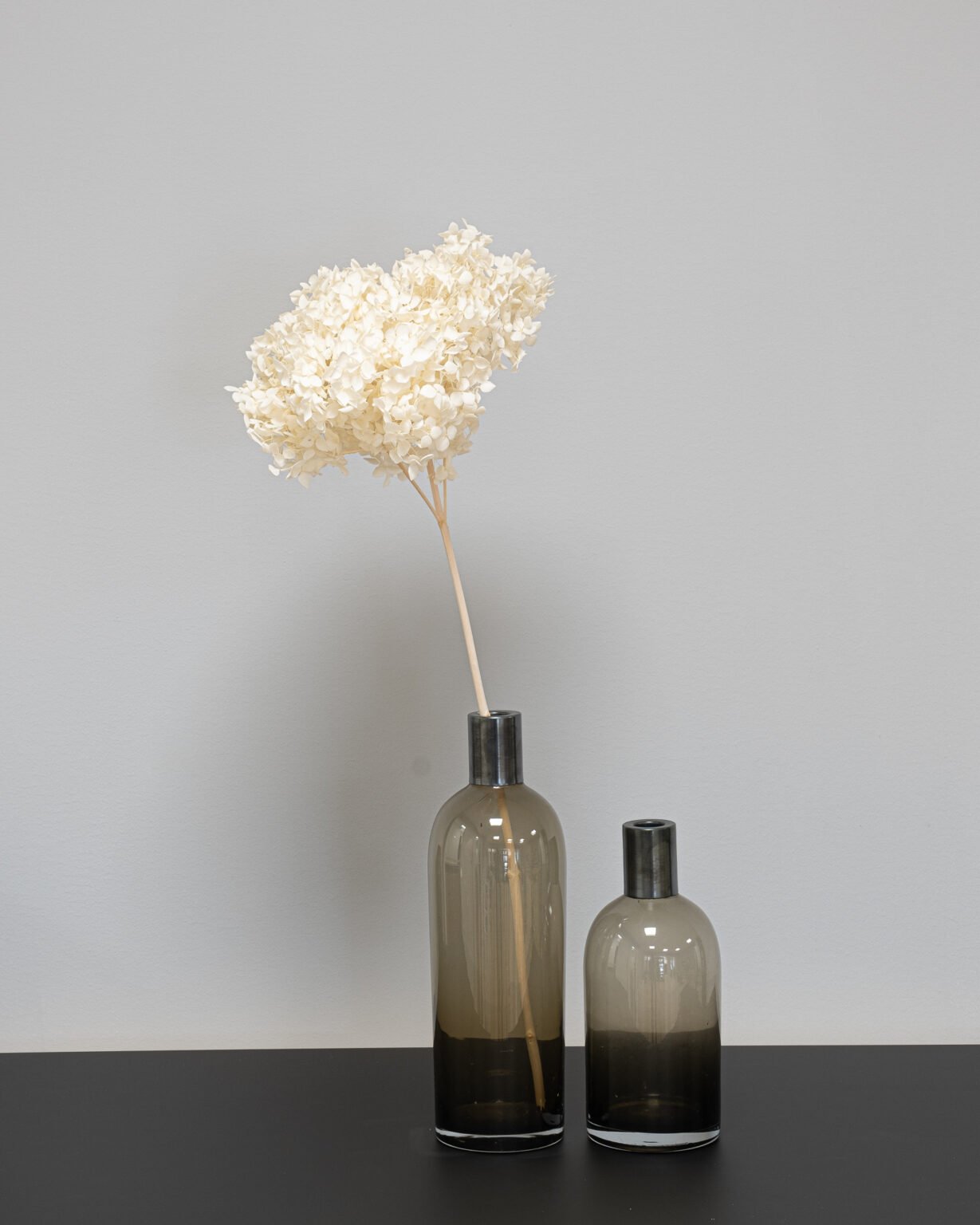 Hortensia Lang