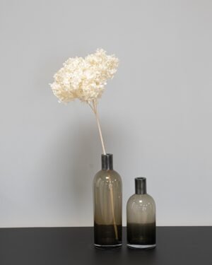 Konserveret Hortensia Lang