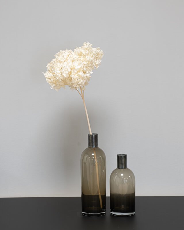 Hortensia Lang