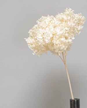 Alternative view of Eksklusiv Konserveret Hortensia Lang – Naturtro Evighedsblomst (60 cm)
