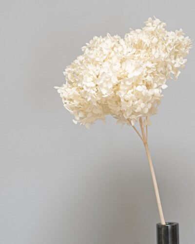 Alternative view of Eksklusiv Konserveret Hortensia Lang – Naturtro Evighedsblomst (60 cm)
