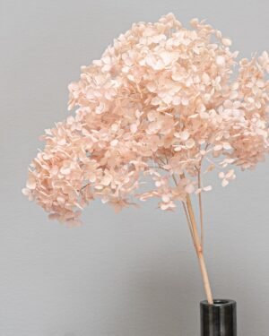 Eksklusiv Konserveret Hortensia Lang – Naturtro Evighedsblomst (60 cm) 10 Forever Flora Dk