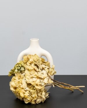 Forever Flora Dk