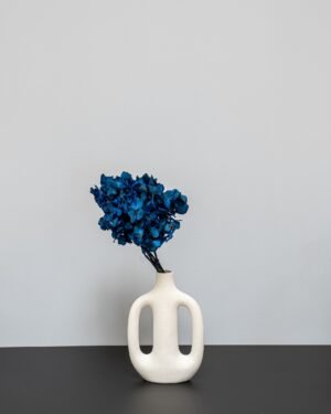 Forever Flora Dk