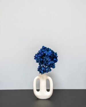 Forever Flora Dk