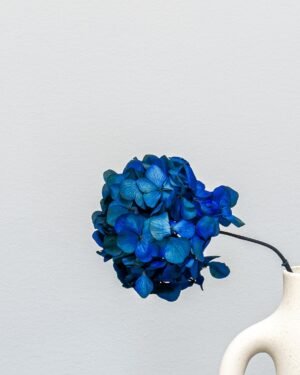 Forever Flora Dk