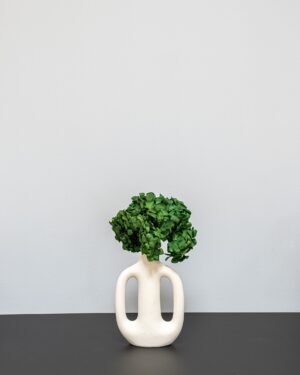 hortensia