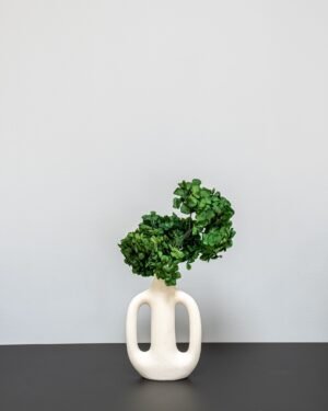 Forever Flora Dk