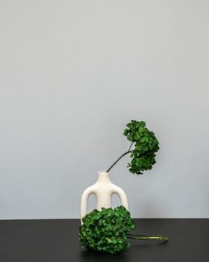 Forever Flora Dk