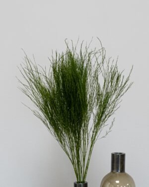 Alternative view of Eksklusiv Konserveret Tiki-bregne (40-60 cm) – Bundt med 7-8 Stængler