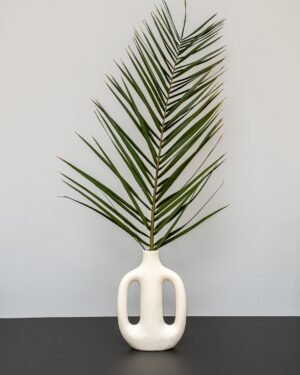 Phoenix Palm Grön - Konserverede planter 5 Forever Flora Dk
