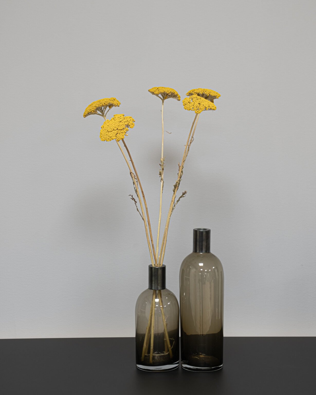 Achillea, røllike-slægten Naturlig - Tørrede blomster