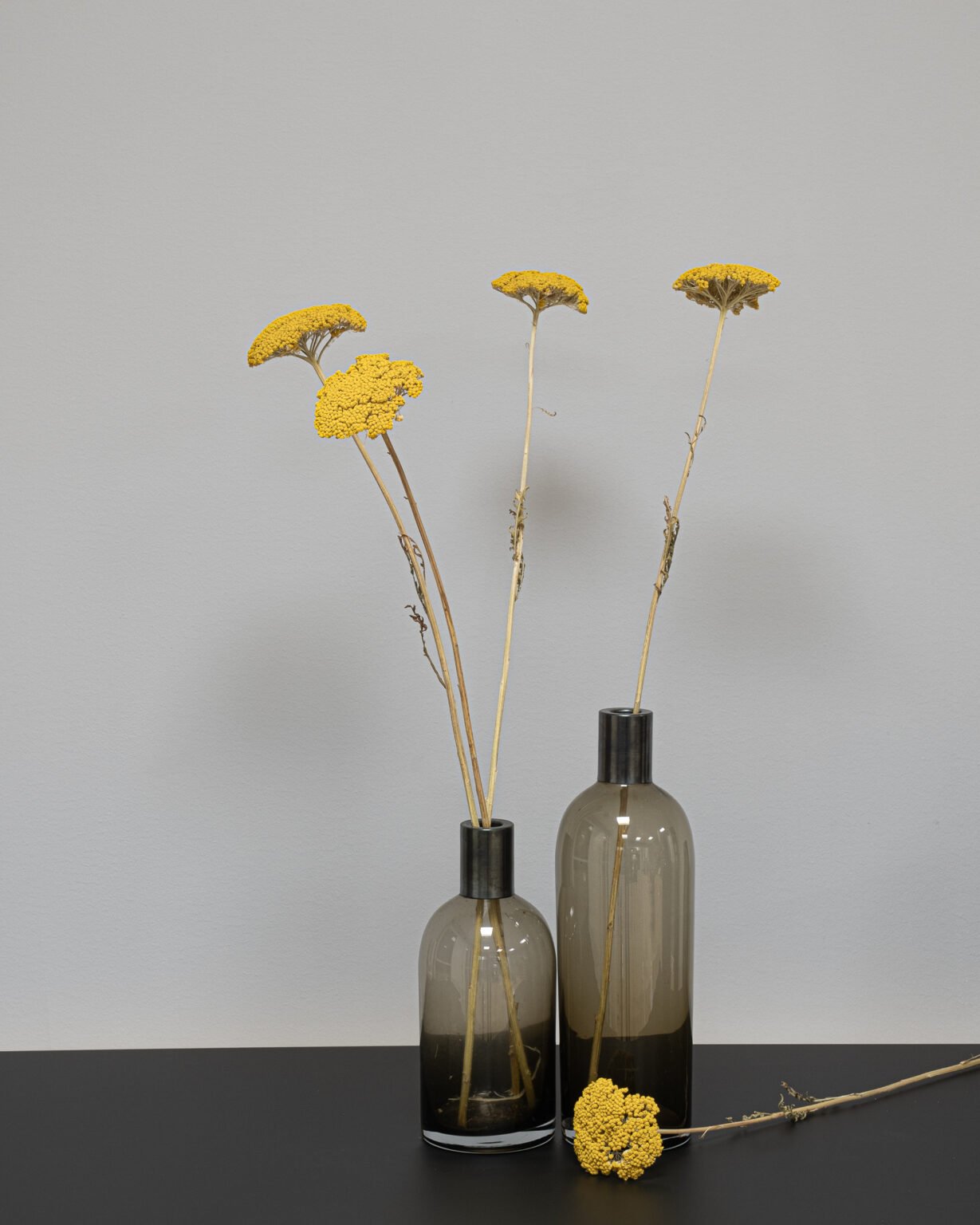 Achillea, røllike-slægten Naturlig - Tørrede blomster - Image 3