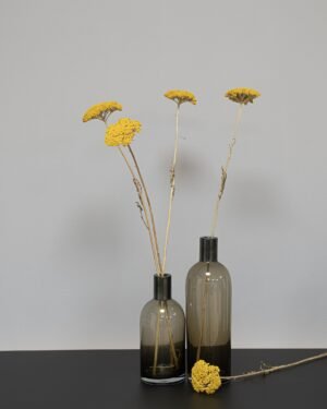 Forever Flora Dk