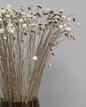 Alternative view of Botao - Tørrede blomster
