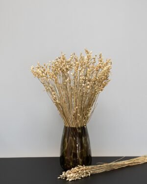Briza - Tørrede blomster 13 Forever Flora Dk