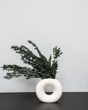Eksklusiv Konserveret Eucalyptus Parvifolia – Naturtro Evighedsgrønt (50 cm) 5 Forever Flora Dk