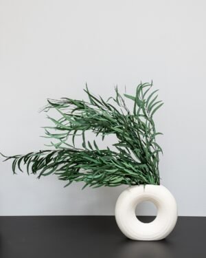 Konserverad Eucalyptus Nicoli