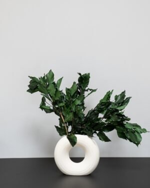 Eksklusiv Konserveret Efeu (Murreva Ivy) – Naturtro Evighedsgrønt (100g) 11 Forever Flora Dk