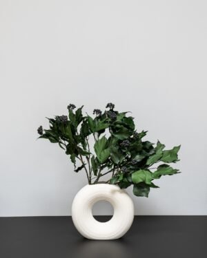 Eksklusiv Konserveret Efeu (Murreva Ivy) – Naturtro Evighedsgrønt (100g) 12 Forever Flora Dk