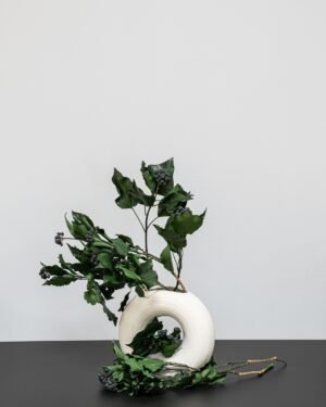 Eksklusiv Konserveret Efeu (Murreva Ivy) – Naturtro Evighedsgrønt (100g) 13 Forever Flora Dk