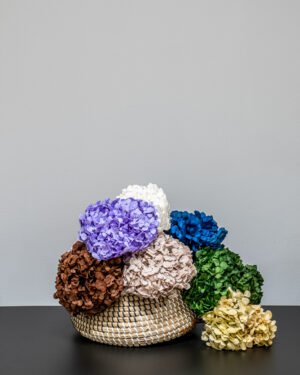 Premium Konserveret Hortensia