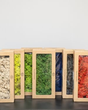 Ægte Konserveret Rensdyrmos (500g) – Naturlig Mos til Dekoration