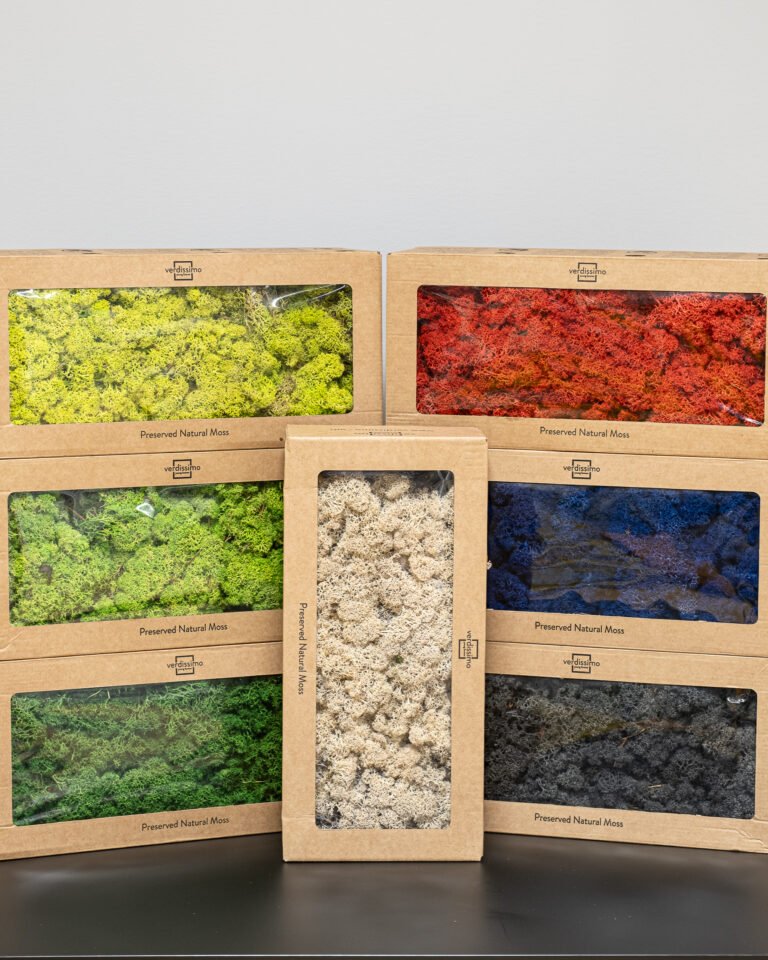 Alternative view of Ægte Konserveret Rensdyrmos (500g) – Naturlig Mos til Dekoration