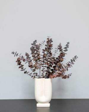 Forever Flora Dk