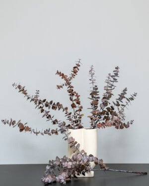 Forever Flora Dk