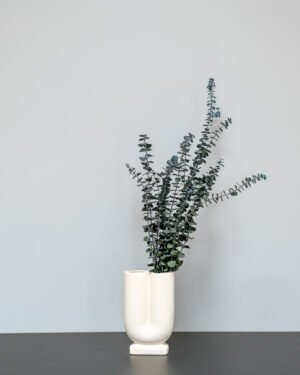 Forever Flora Dk