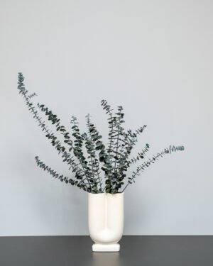 Forever Flora Dk