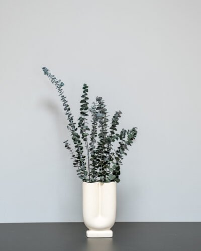 Konserveret Eucalyptus Baby Blue